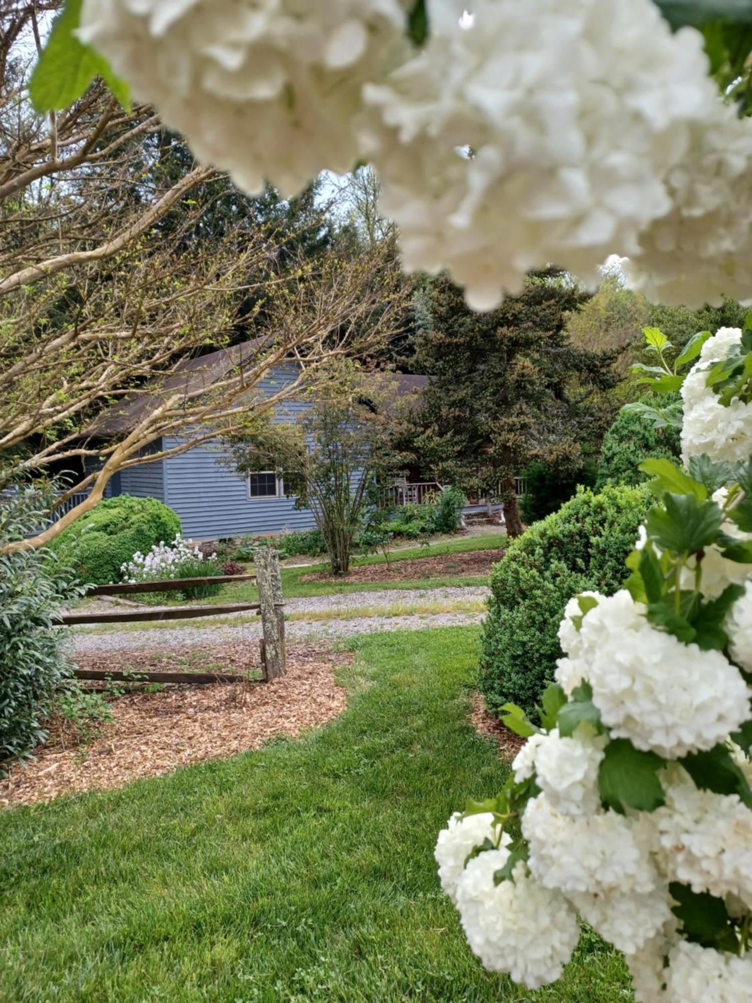 Restored1850S Log Cabin, With Gazebo And Gardens! 1 Mile To Downtown Weaverville Exterior foto