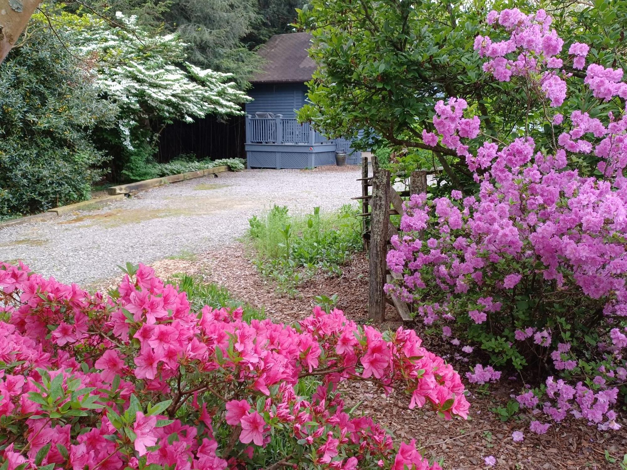 Restored1850S Log Cabin, With Gazebo And Gardens! 1 Mile To Downtown Weaverville Exterior foto