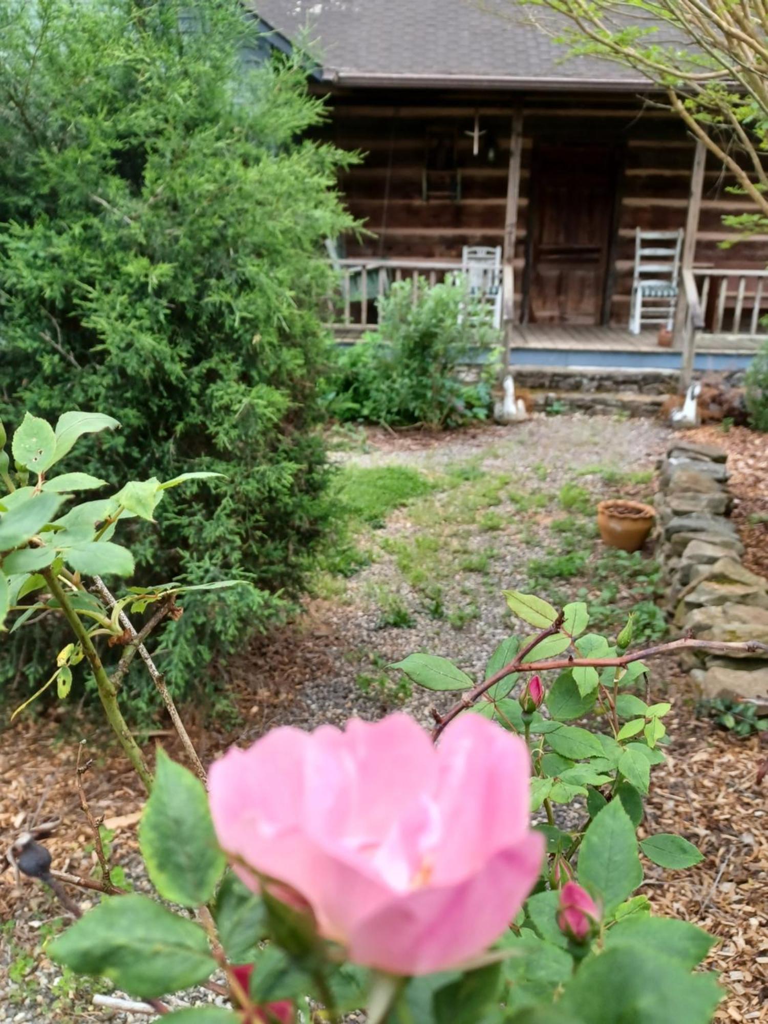 Restored1850S Log Cabin, With Gazebo And Gardens! 1 Mile To Downtown Weaverville Exterior foto