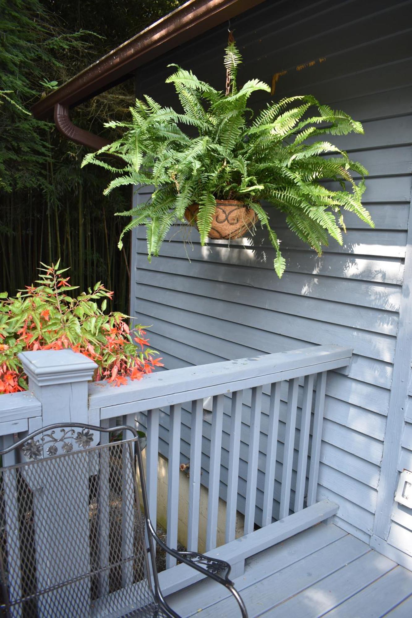 Restored1850S Log Cabin, With Gazebo And Gardens! 1 Mile To Downtown Weaverville Exterior foto