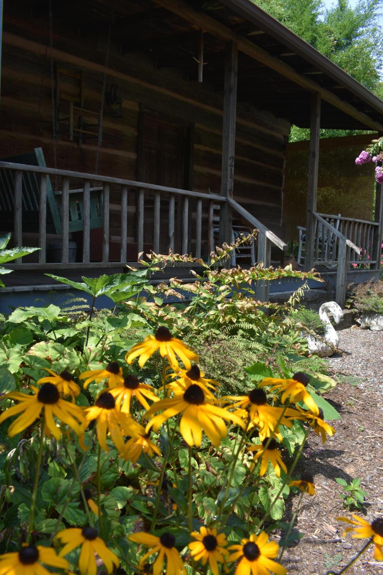 Restored1850S Log Cabin, With Gazebo And Gardens! 1 Mile To Downtown Weaverville Exterior foto