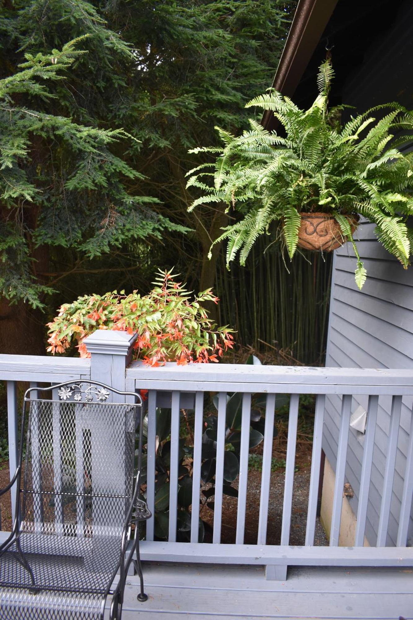 Restored1850S Log Cabin, With Gazebo And Gardens! 1 Mile To Downtown Weaverville Exterior foto